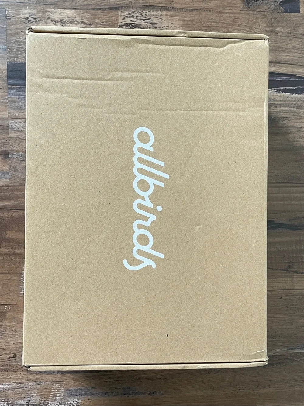 Tree Runner NZ by allbirds in Color Blizzard